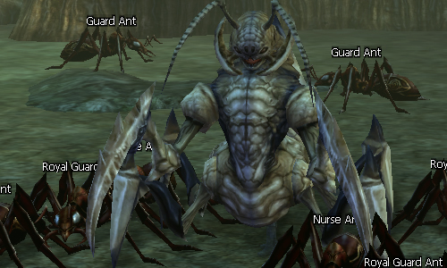 Queen Ant